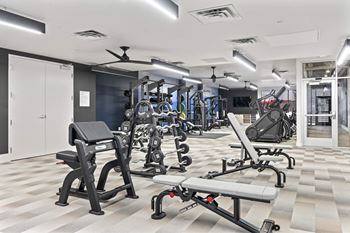Bright and spacious gym